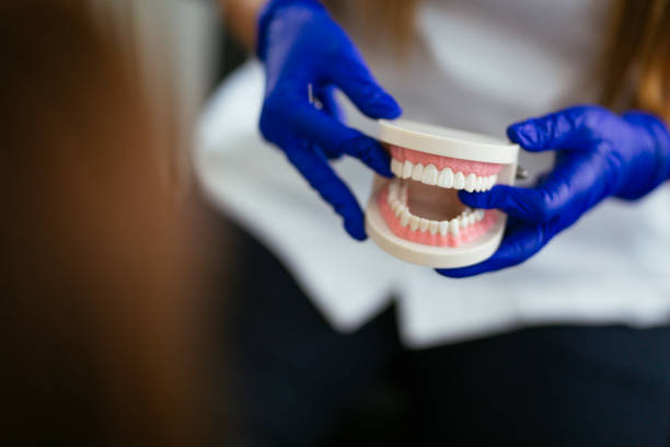 Best Dental Exams and Cleanings  in Roselle, IL